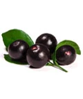 Acai Berry - SupraNail Ingredient